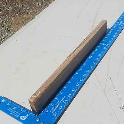 Honduran Rosewood G1 0.75x2.75x19.375 Blank Wood for Woodworking Projects 2 Honduran Rosewood G1 0.75x2.75x19.375 Blank Wood for Woodworking Projects - Image 2