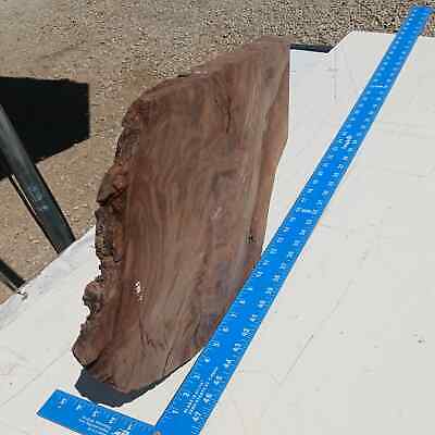 Claro Walnut G2 1.25x12.5x14 Blank Wood for Woodworking Projects 2 Claro Walnut G2 1.25x12.5x14 Blank Wood for Woodworking Projects - Image 2