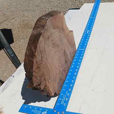 Claro Walnut G2 1.25x12.5x14 Blank Wood for Woodworking Projects 3 Claro Walnut G2 1.25x12.5x14 Blank Wood for Woodworking Projects - Image 3