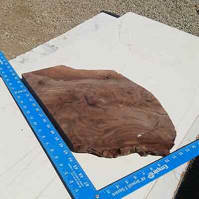 Claro Walnut G2 1.25x12.5x14 Blank Wood for Woodworking Projects 4 Claro Walnut G2 1.25x12.5x14 Blank Wood for Woodworking Projects - Image 4