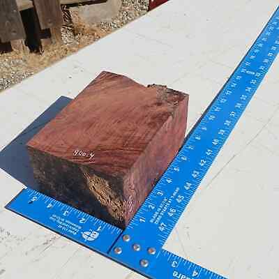 Honduran Rosewood Burl G1 3.75x5.25x7 Blank Wood for Woodworking Projects 4 Honduran Rosewood Burl G1 3.75x5.25x7 Blank Wood for Woodworking Projects - Image 4