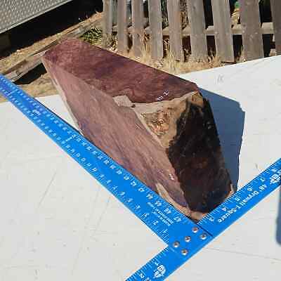 Honduran Rosewood Burl G1 3x8x15.875 Blank Wood for Woodworking Projects 2 Honduran Rosewood Burl G1 3x8x15.875 Blank Wood for Woodworking Projects - Image 2