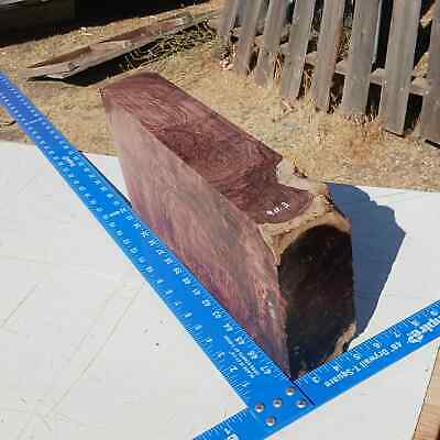 Honduran Rosewood Burl G1 3x8x15.875 Blank Wood for Woodworking Projects 3 Honduran Rosewood Burl G1 3x8x15.875 Blank Wood for Woodworking Projects - Image 3