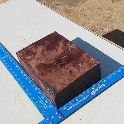 Honduran Rosewood Burl G1 3.875x7.875x11.125 Blank Wood for Woodworking Projects 4 Honduran Rosewood Burl G1 3.875x7.875x11.125 Blank Wood for Woodworking Projects - Image 4