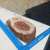 Honduran Rosewood Burl G1 2x7x11.5 Blank Wood for Woodworking Projects 8 1 76