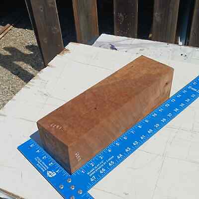 Dimensional Lumber 50 Camphor Burl G1 3.75x4x13.5 Blank Wood for Woodworking Projects