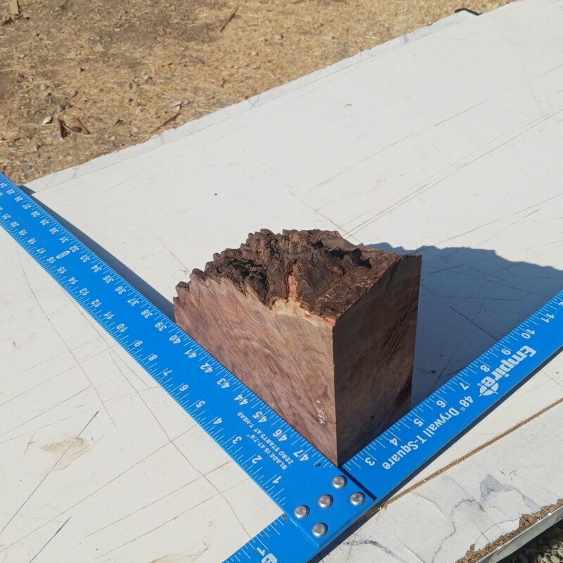 Claro Walnut Burl G1 3x4x8 Blank Wood for Woodworking Projects 7 57 754