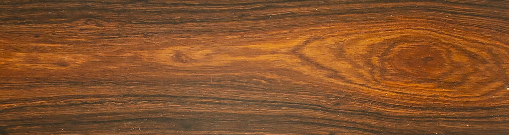 Amazon Rosewood species