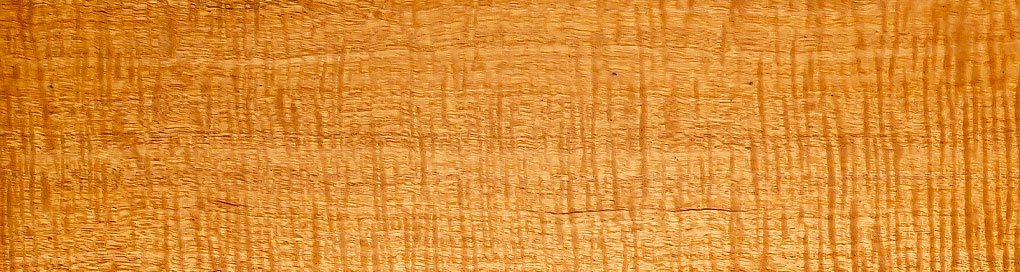 Genuine Mahogany species