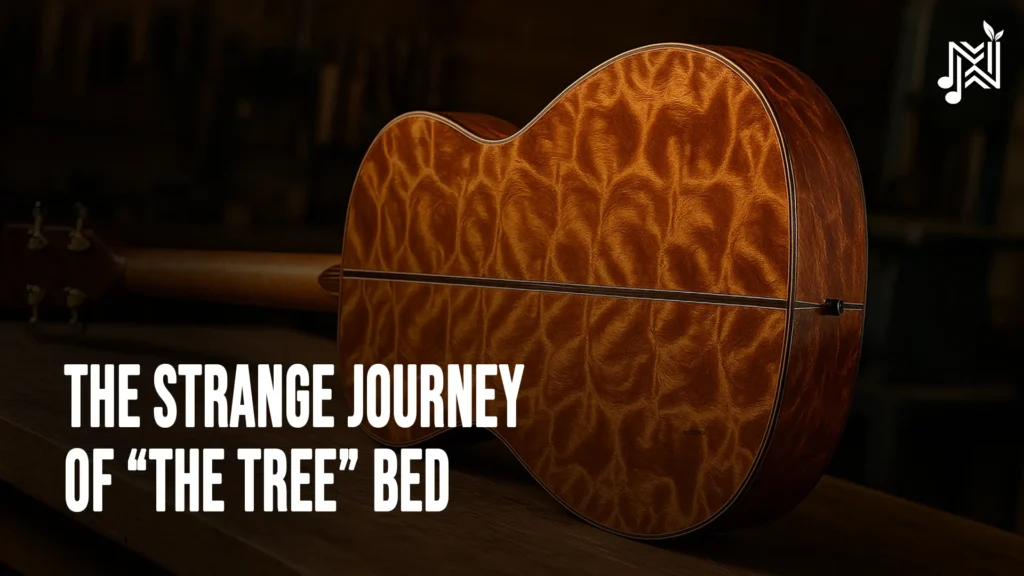 The Strange Journey of “The Tree” Bed 5 articlesbg8 1