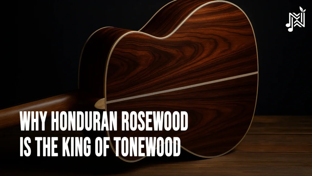 Why Honduran Rosewood is the King of Tonewood 4 articlesbg9